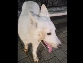 � �������� ������ ������� ����� � ���� � ������ 