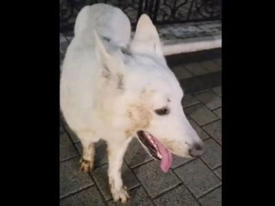 � �������� ������ ������� ����� � ���� � ������ 
