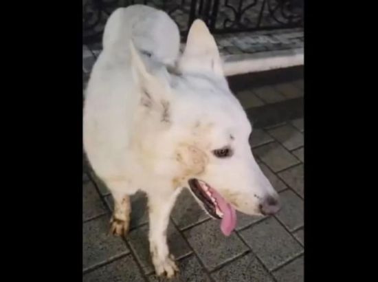 � �������� ������ ������� ����� � ���� � ������ 