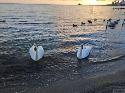 � �������� ��������� ������ ������