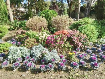 �������� ��������: 35 ���� �� ����...