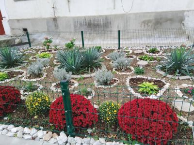 �������� ��������: 35 ���� �� ����...