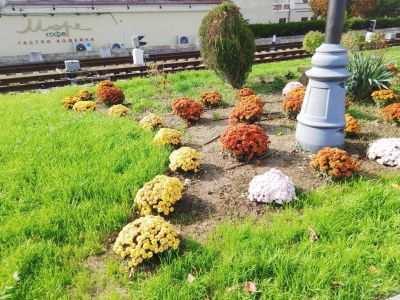 �������� ��������: 35 ���� �� ����...