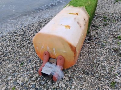 �������� ��������: 35 ���� �� ����...