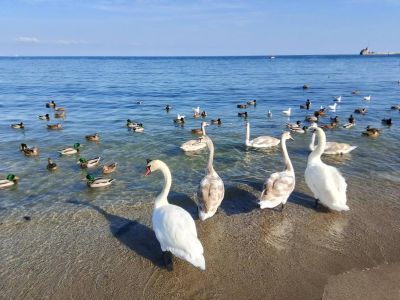 � ������������ ������ ��� 7 �������