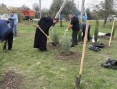 � ������� �������� ����� ������ �������