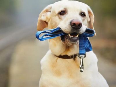 � ����� ���� ���������� ����� ��������� � ���������������
