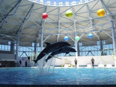 � ����  ������� ������ ��� ������������ � 2027 ���� 