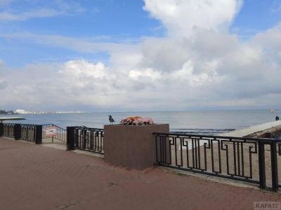 ��������: � ��� � ������...