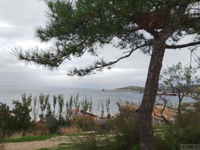 ��������: � ��� � ������...