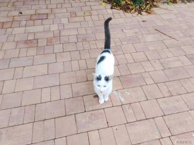 ��������: � ��� � ������...