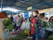 Теплая осень продлила сезон керченских садоводов
