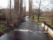 На охрану природы Симферополя депутаты выделили около 2 миллионов гривен