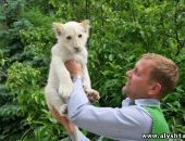 Директор ялтинского зоопарка "Сказка" подал в суд иск на действия Рескомзема Крыма