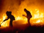 В Крыму ждут лесных пожаров