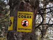 Власти Симферополя хотят создать специальные зоны для выгула домашних животных