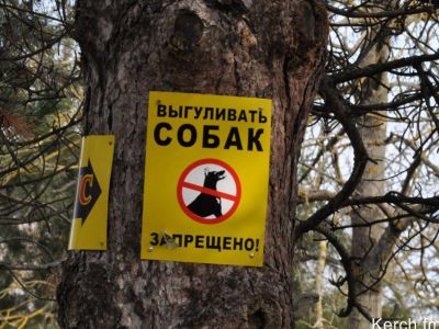 ������ ����������� ����� ������� ����������� ���� ��� ������ �������� ��������
