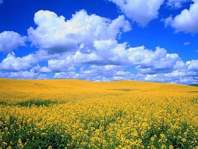 � ����� 150 ����� �� ��������� �����
