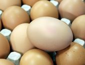 В Феодосии яйцами предписали торговать из холодильника