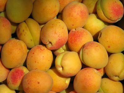� �������� �� ������� ������� �������