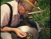 В Крыму будут добывать золото?