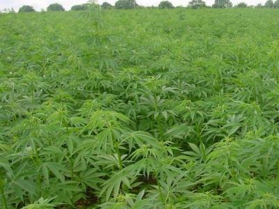 � ����� - ��������� ��������� ������ �������