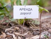 В Крыму пенсионеры заработали на аренде земли более 90 миллионов гривен