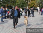 В Феодосии пройдет выставка собак