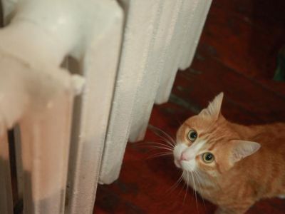 � ������������� ������ � �������� ������