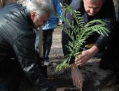В Симферополе заложили аллею байкеров