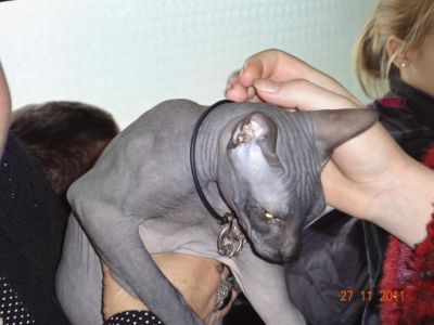 � ����� ������ �������� �����