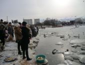 В Крыму будут охранять от падения в воду кормителей птиц