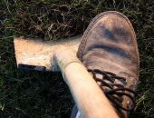 В Крыму женщина украла можжевельник у супермаркета, чтобы посадить на могиле