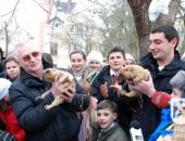 Львовские сурки предсказали весну