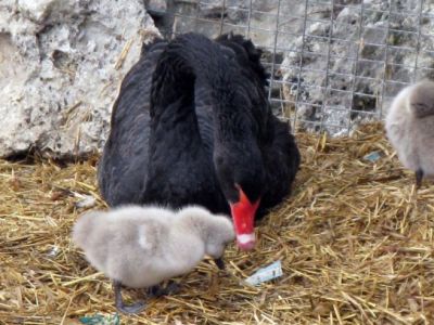 � ����� ������ ������ ���������� ����������
