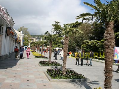 � ����� �������� 8 ����� ������� ������� �������� � ������ ���� ������������ ������