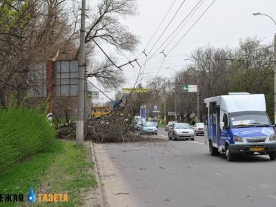 � ����������� ����� ������� ������ �� ������������� �������