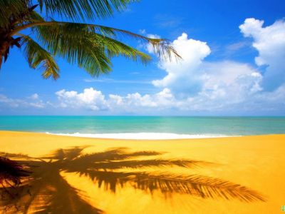 � ����� ������ �������� ��������� ����������