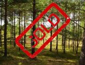 �������� ��������-������������ ������ �������� �� ����� ��������� ���������