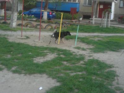 � ����� ������� ������ ������ � ������