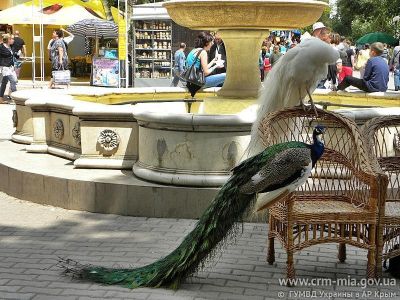 � ����� �������� ������ �� ������� �������� � ��������� 