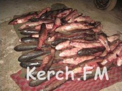 � ����� ������������ ������ 200 ���� ��������� � �����������
