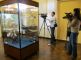В керченском музее открылась выставка "Античное дерево, грани возможного" В керченском музее открылась выставка "Античное дерево, грани возможного"