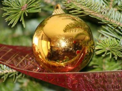 � ����� ����� ��� ����� �������� 22 ���