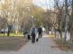 В Керчи работники ЖЭКов не разрешают людям высаживать деревья В Керчи работники ЖЭКов не разрешают людям высаживать деревья