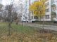 В Керчи работники ЖЭКов не разрешают людям высаживать деревья В Керчи работники ЖЭКов не разрешают людям высаживать деревья
