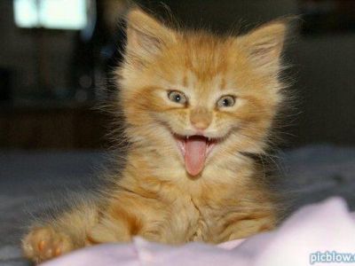 � ����� �������� ����������� �������