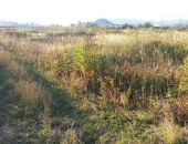 В Крыму появится каталог земель с/х назначения