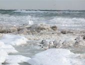 Керченская переправа остановилась