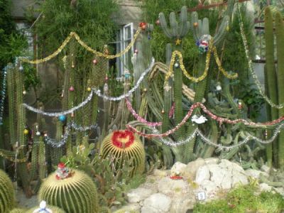 � ��������� ������������ ���� �������� �������